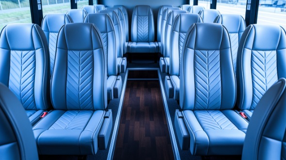 15 passenger minibus interior folsom